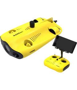 Chasing Gladius Mini S 100m