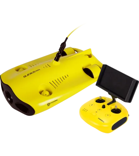 Chasing Gladius Mini 100m