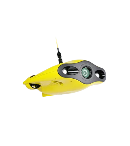 Chasing Gladius Mini 100m