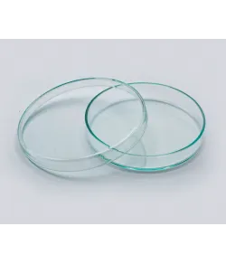 Petri stikls 90 mm diametrā