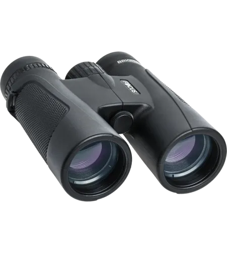 Focus Bright 8x42